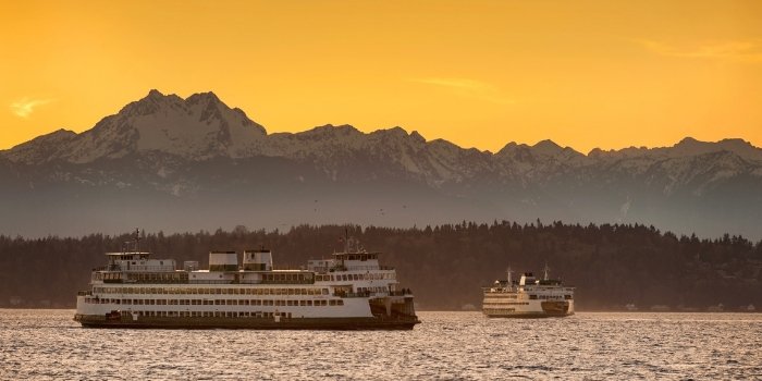 How to Become a Process Server in Washington State